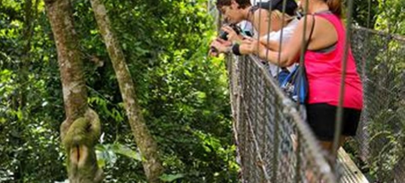 Pure Trek Canyoning & Hanging Bridges