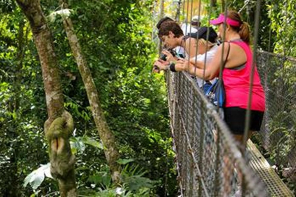 Pure Trek Canyoning & Hanging Bridges