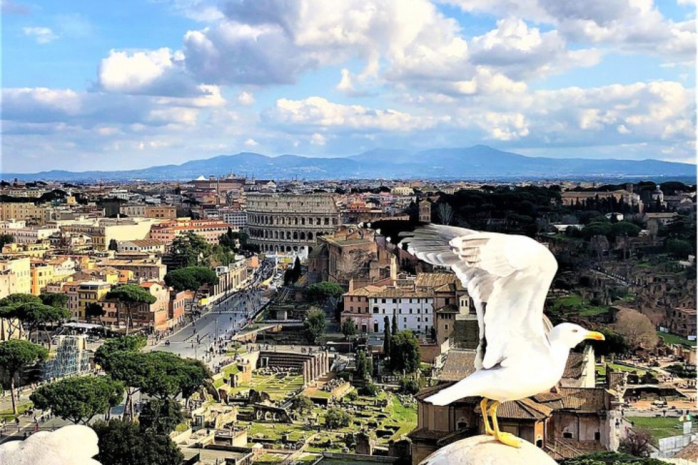 All Rome in 1 Day: Colosseum, Vatican, Squares, Luxury Car, Tickets & Lunch