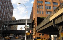 High Line Park (new York)