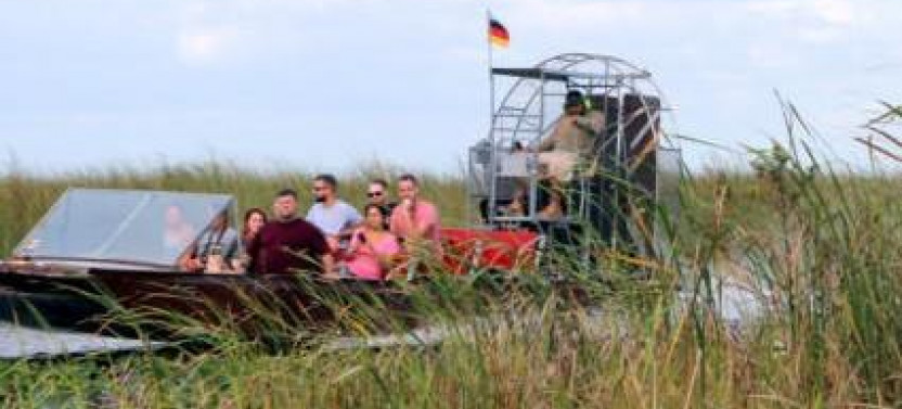 Half Day: 1 hour Air Boat Ride & Nature Walk in Everglades National Park