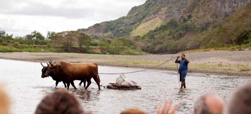 Sigatoka River Safari + Village Tour