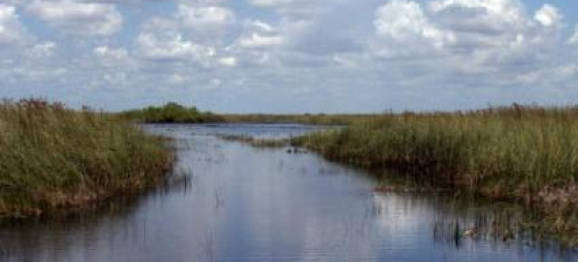 Full Day Dry Hike Everglades Adventure 2 Boat Trips + 2 National Parks