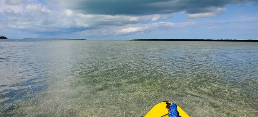 Full-Day Hiking and Paddling Tour in Everglades National Park