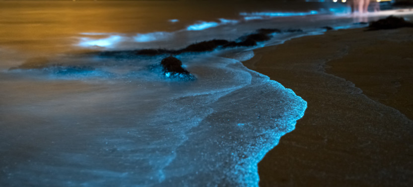 Bioluminescence & Sea Canoes in Phang Nga Bay by Speedboat