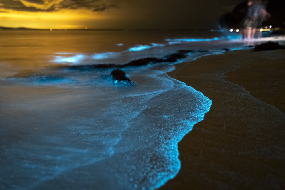 Bioluminescence & Sea Canoes in Phang Nga Bay by Speedboat