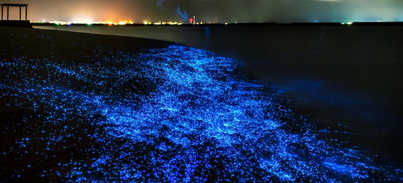 Bioluminescence & Sea Canoes in Phang Nga Bay by Speedboat