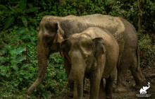 Discova Day Tours and Activities1