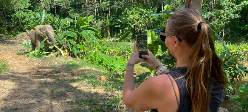 Phuket Hidden Forest Elephant Reserve With Lunch & Transfer Morning Tour