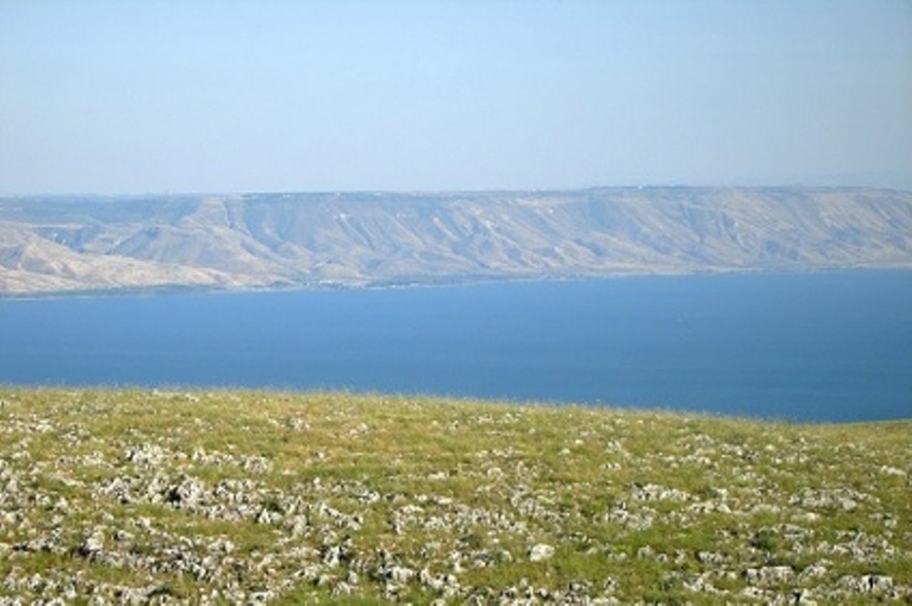 Dead Sea Relaxation Day from Jerusalem