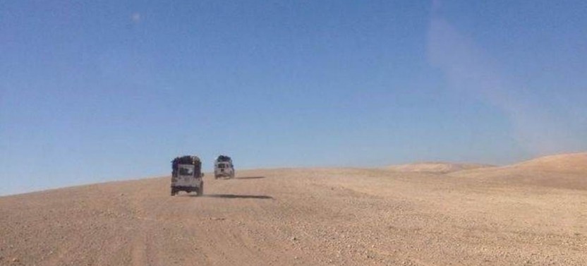 Judean Desert Safari From Jerusalem