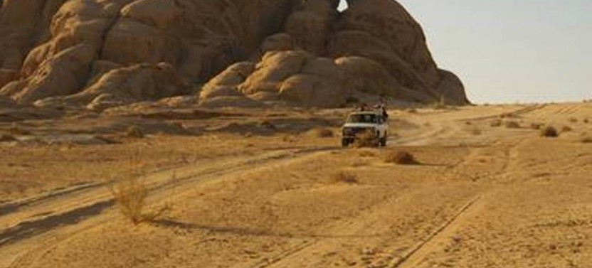 Judean Desert Safari From Jerusalem
