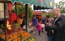 Amalfi Tour Campania9