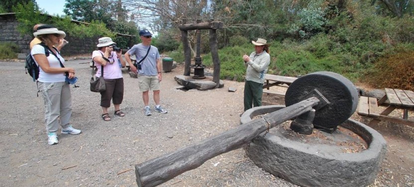 Golan Heights Tour From Jerusalem