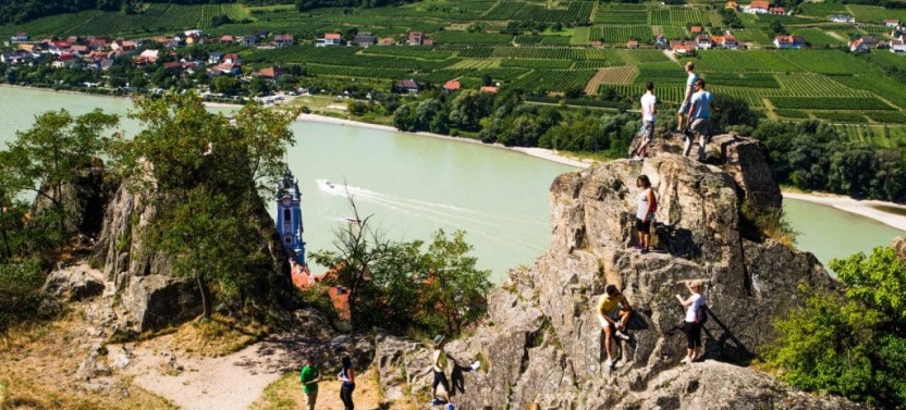 Winery Bike Tour - Wachau Valley