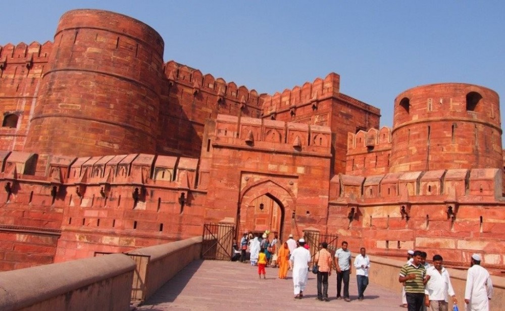 Amaze Tours
