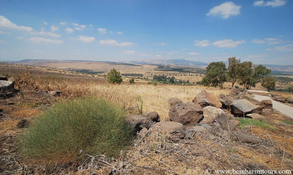 Bein Harim Tourism Services