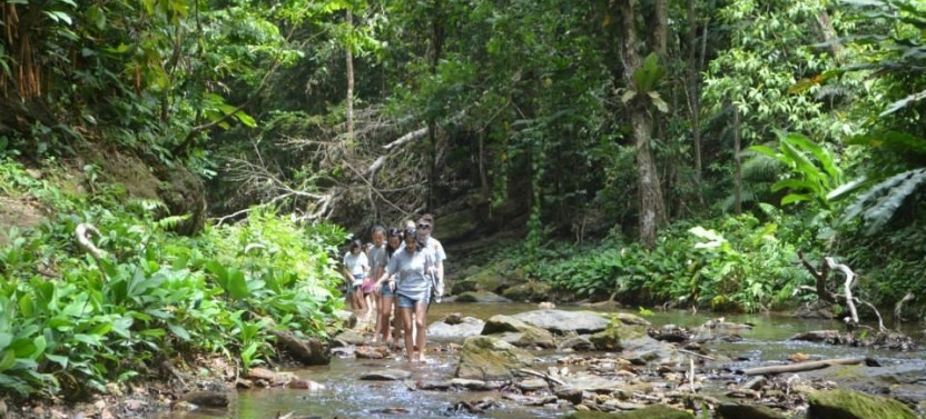 Argyle Waterfall Adventure in Tobago
