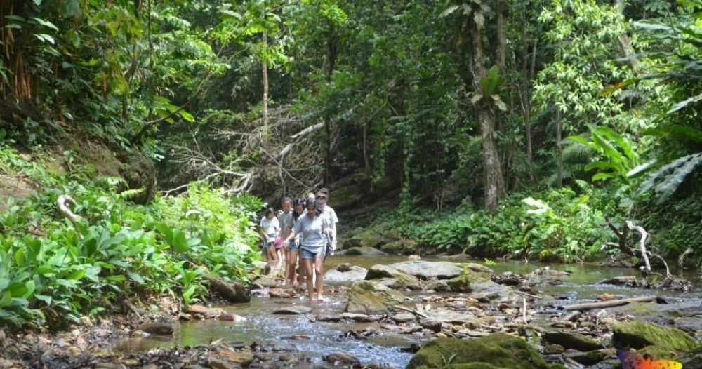 Argyle Waterfall Adventure in Tobago