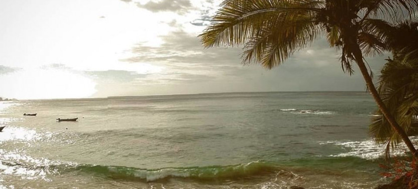 Glass-Bottom Boat & Tobago Highlights Tour