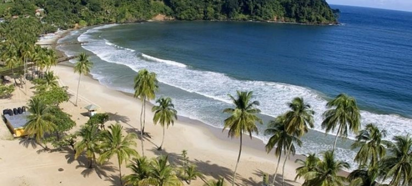 Little Tobago Glass Bottom Boat Tour