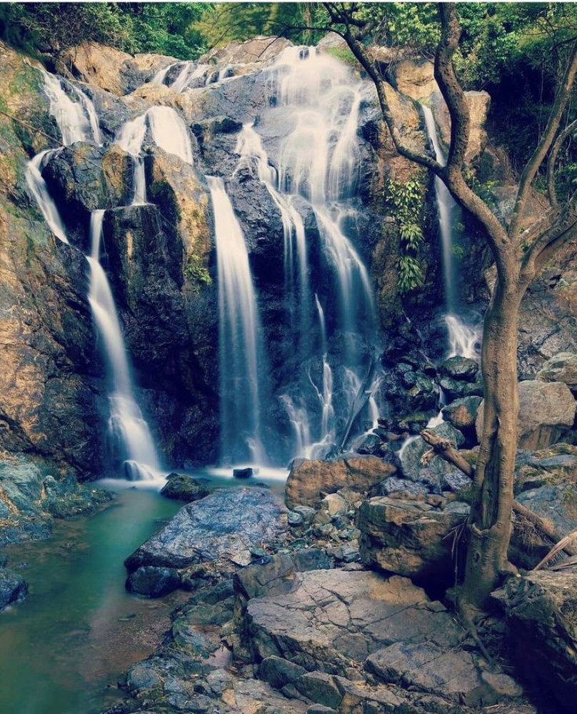 Argyle Waterfall & Tropical Garden with Hummingbirds