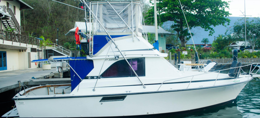 Private Yacht Charter along Trinidad North West Coast (Trinidad Island)