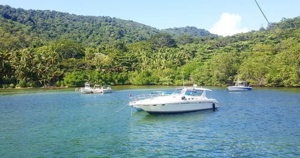 Boat Cruise in Yacht (with Gasparee Caves)