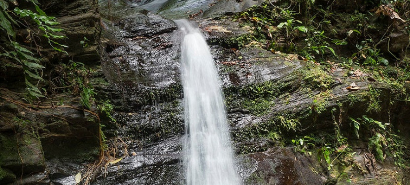 Zorro Waterfall Hike Experience