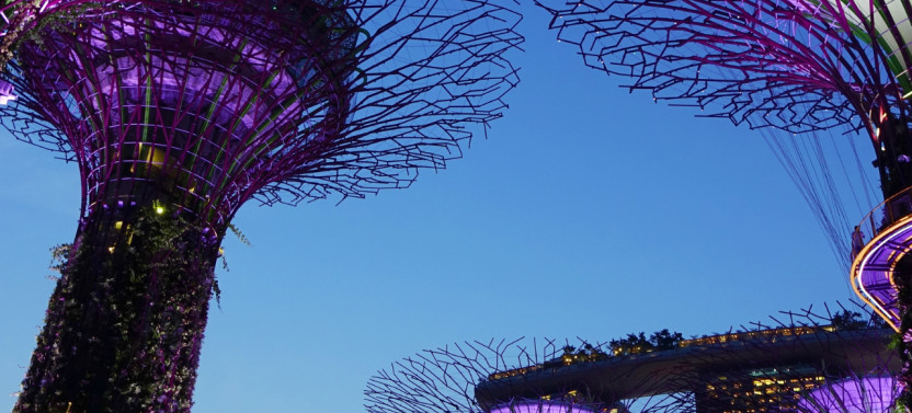 Singapore: Gardens and Satay by The Bay Private Guided Tour