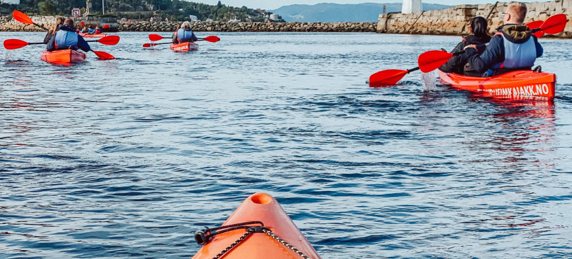 Private Tour: Kayak in Trondheim