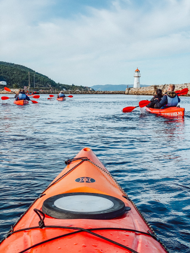 Private Tour: Kayak in Trondheim