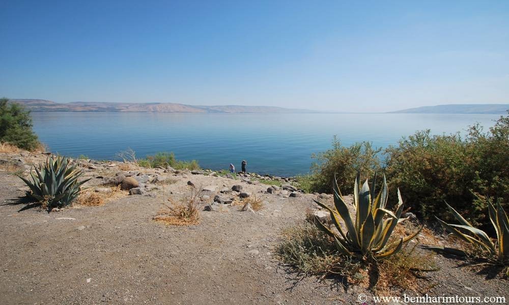 Bein Harim Tourism Services