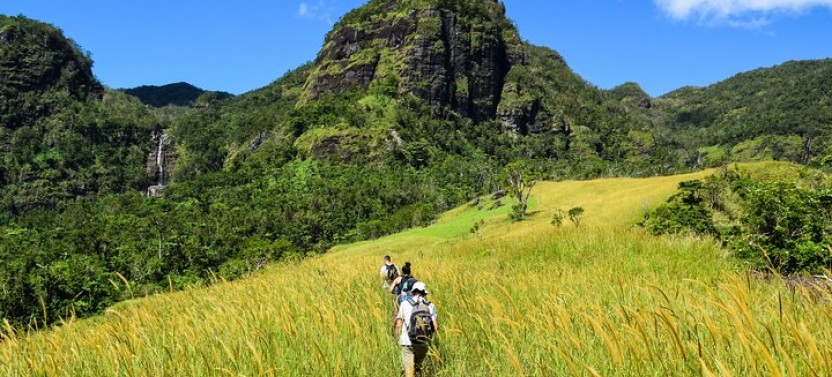 Koroyanitu National Heritage Park Fiji - Hike - Waterfall