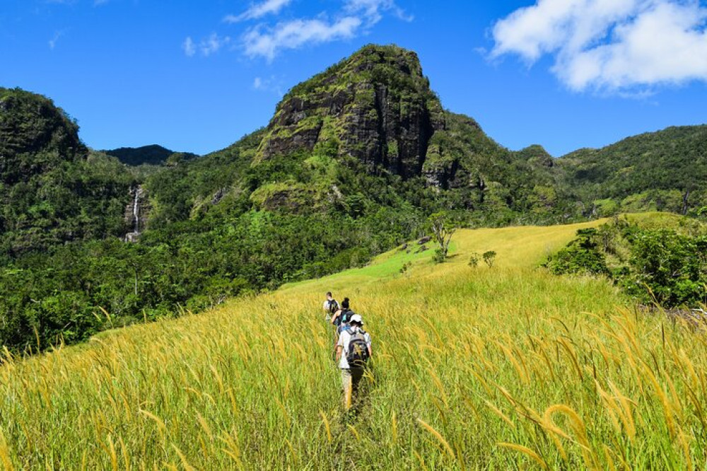 Koroyanitu National Heritage Park Fiji - Hike - Waterfall