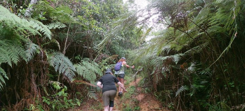Small Group Hiking Adventure - Hidden Peaks