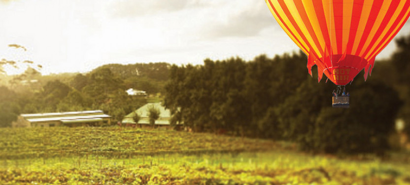 Gold Coast Classic Ballooning & Vineyard Breakfast