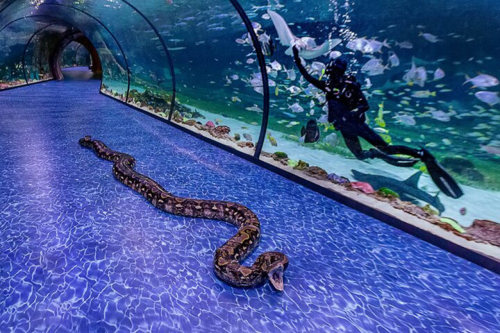 Private Abu Dhabi City Tour With National Aquarium