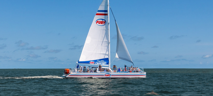 Dolphin Watch & Historical Harbor Tour