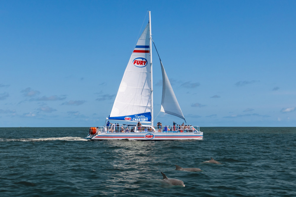 Dolphin Watch & Historical Harbor Tour