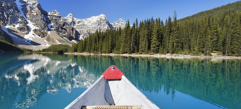 Full Day Tour in Columbia Icefield, Bow Lake and Peyto Lake