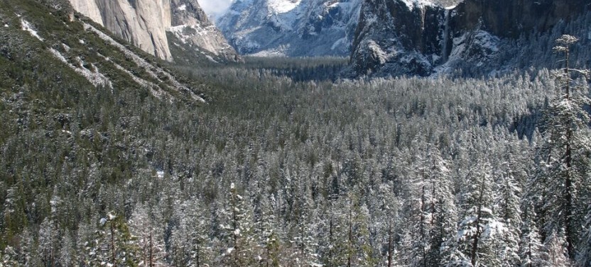 Yosemite Explorer Overnight Tour