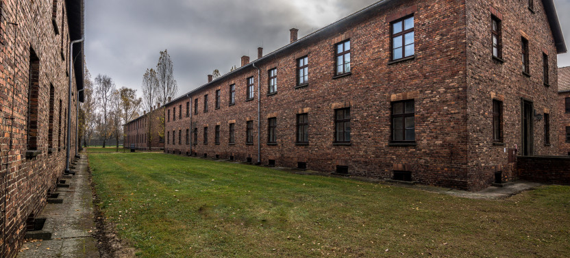 Auschwitz-Birkenau English Guided Tour with Hotel Pickup