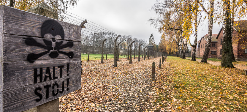 Auschwitz-Birkenau English Guided Tour with Hotel Pickup
