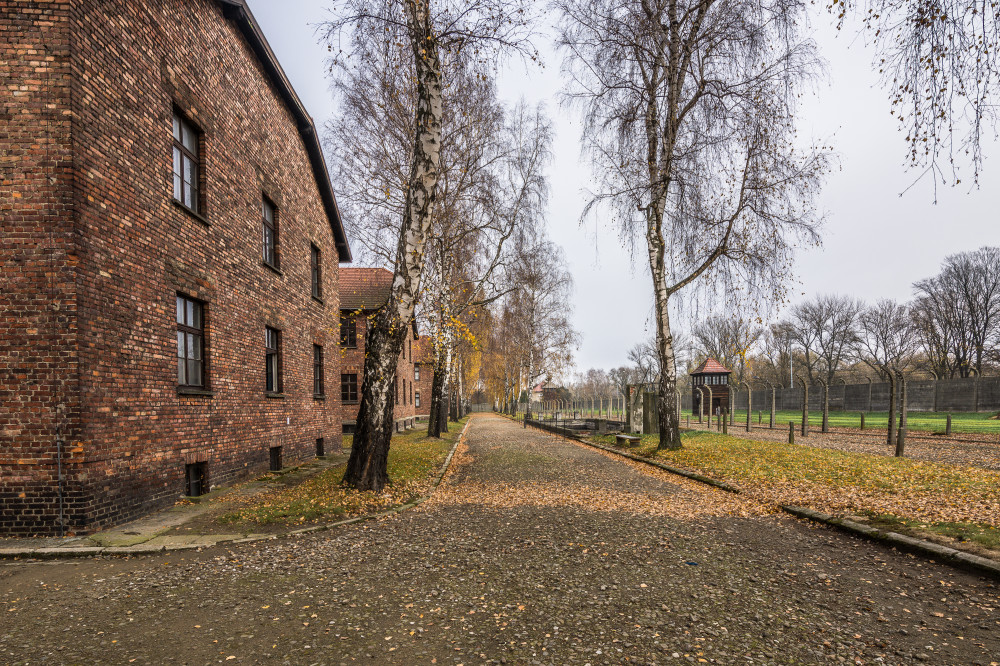 Auschwitz-Birkenau English Guided Tour with Hotel Pickup