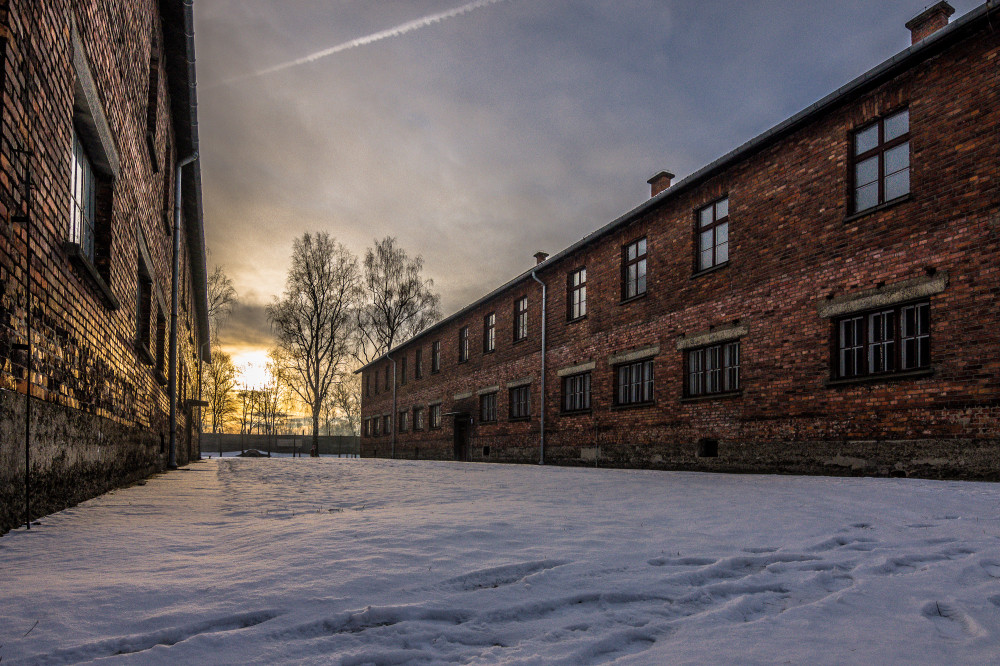 Auschwitz-Birkenau and Wieliczka Salt Mine Guided Tour with Hotel Pickup