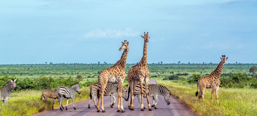 8 Day Etosha National Park, Twyfelfontein, Swakop & Sossusvlei with Lodging