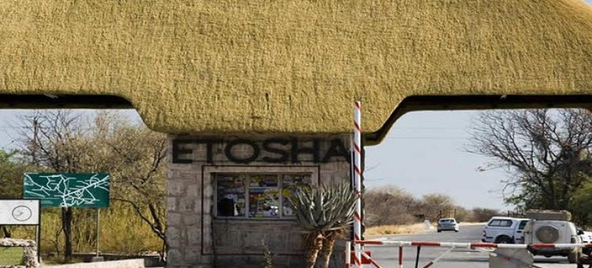7 Day Desert adventure: Sossusvlei to Swakopmund & Etosha Lodging Tour