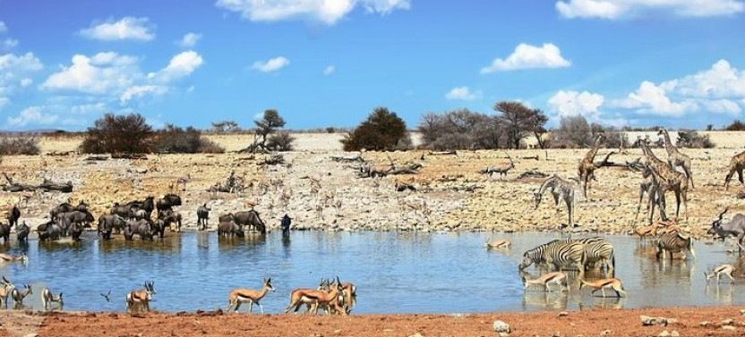 7 Day Desert adventure: Sossusvlei to Swakopmund & Etosha Lodging Tour
