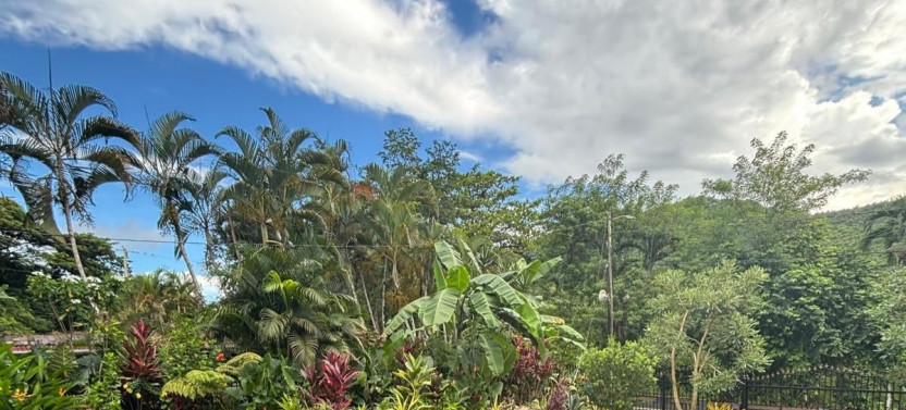 Authentic Puerto Rican Cooking Class with Cocktails near San Juan